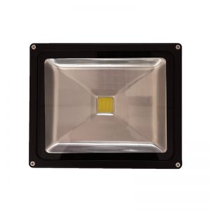 30W Flood Light