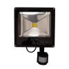 30W Flood Light Sensor