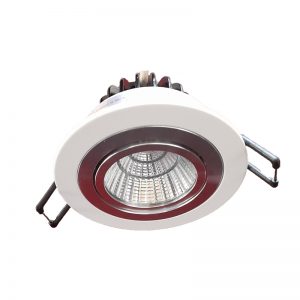 LED Down Light